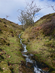 Tributary stream