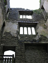 Walls of the residential rooms