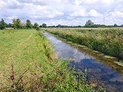 Oldbridge River - view north