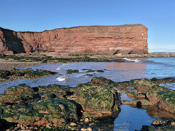 Rock pools