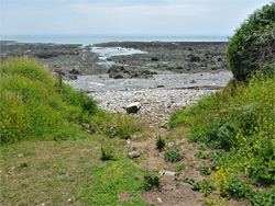 Pebble beach