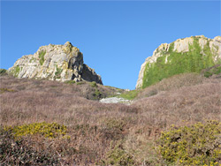 Cliffs and bushes