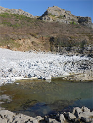 Pool and pebble beach