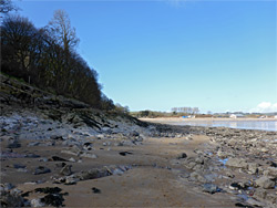 Oxwich Wood shoreline