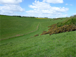 The valley - view north