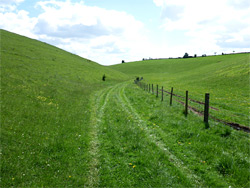 Grassy track