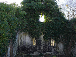 Barn windows