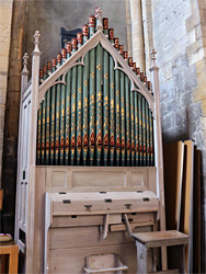 Organ