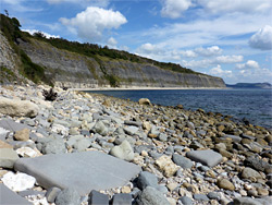 Pebbles in Pinhay Bay