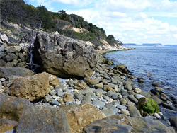 Pinhay Cliff