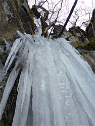 Fused icicles