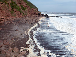 Plantation Cove Beach