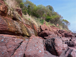 Boulders and bushes