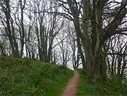 Coast path