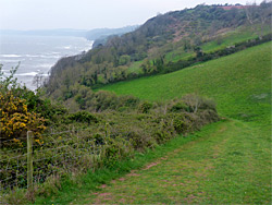 Path near Plantation Cove