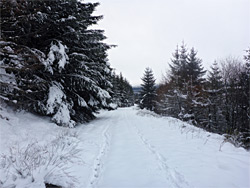 Snow on the track