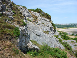 Old quarry
