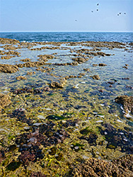 Rock pools