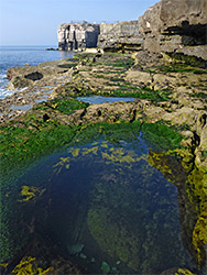 Large rock pool