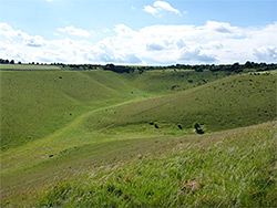 Forked valley