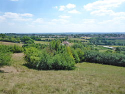 Fields to the south