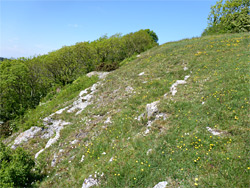 Limestone slope