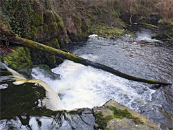 Cascade above Pwll Glas