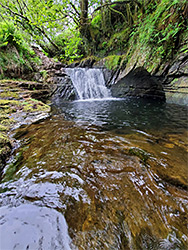 Pwll y March