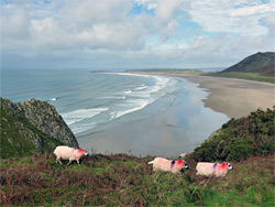 Rhossili Bay