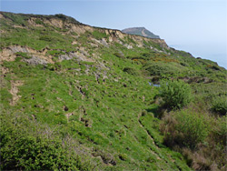 Ridge Cliff landslip