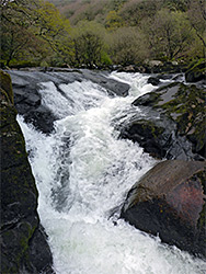 Narrow cascade