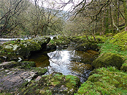 Rock-lined pool