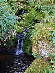 Boulders and falls