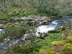 Narrow place on the river