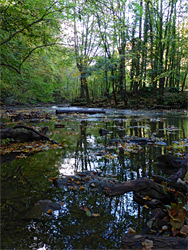 Boulders and logs