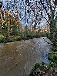 River near Hambrook