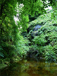 Footbridge