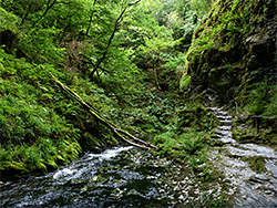 Riverside path