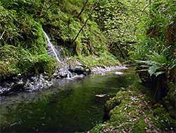 Tributary falls