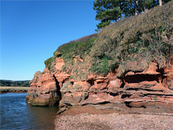 Beach beside the river