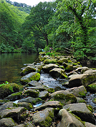 Fingle Mill Head Weir