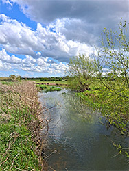 River Thames