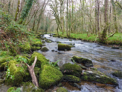 River Webburn