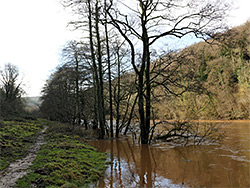 River Wye