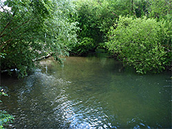 River Wylye