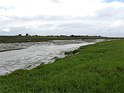 Estuarine river