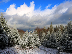 Clouds and blue sky