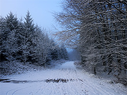 Snowy track