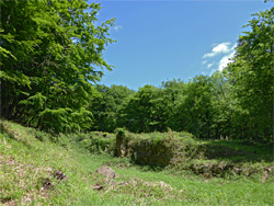 The quarry - view north