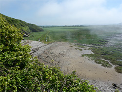 Grass below the promontory